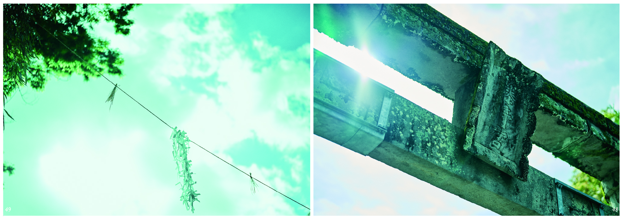 fujisaki_49 50@2x 100